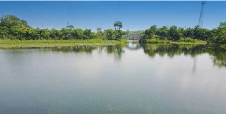 【生態(tài)景觀水防治一體化案例】蓮花水鄉(xiāng)生態(tài)景觀水改善工程(圖2)